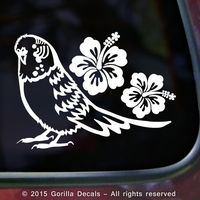 Meegyn HIBISCUS BUDGIE Parakeet Budgerigar Bird Crazy Decal Vinyl Bumper Sticker Laptop Window Car Trailer Wall Sign...