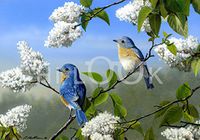 Hi-Look Microfiber Cleaning Cloth - Bluebirds and Lilacs