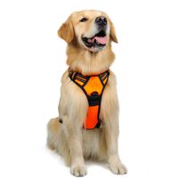 rabbitgoo Front Range Dog Harness No-Pull Pet Harness Adjustable Outdoor Pet Vest Reflective Oxford Material Vest for Dogs Easy Control for Small Medium Large Dogs (Orange, L)