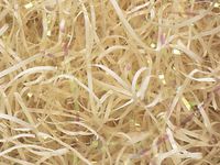 12oz Vanilla Cream Iridescent Cello VERYFINE Fine Cut Gift Basket Shred Paper Filler