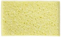 Stone Scrub Sponge