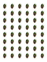 tkcutecandies123 48 Peacock Feather Envelope Seals Labels Stickers 1.2" Round
