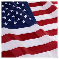 Flag & Windsock, 3' x 5' US American Embroidered Flag