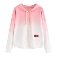 Misaky Long Hoodie Plain Hoodies Best Hoodies Awesome Lightweight Thin Hoodie