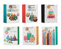 ViiGift Premium Large Birthday Gift Bags with Glitters and Tags - A Complete Set. Includes 6 glittered gift bags with tags, 6 matching birthday greeting cards, 6 envelops, 18 tissue papers.
