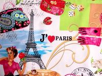 'NUGGLEBUDDY Microwaveable Moist Heat & Aromatherapy Organic Rice Pack."Paris" Fabric with LAVENDER & LEMONGRASS Aromatherapy.