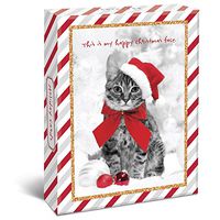 Graphique Holiday Cats Assorted Boxed Christmas Cards - 20 Cute Cats in Christmas Clothes, 4 Designs & Embellished With Red and Gold Glitter, Holiday Cards Includes Matching Envelopes and Storage Box, 4.25" x 5.875"