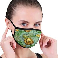 Mouth Masks for Dust Protection Anti Face Mask Washable Earloop Mask Pineapple