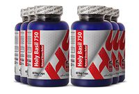 Holy Basil Stress - HOLY Basil Extract - Immune Booster (6 Bottles)