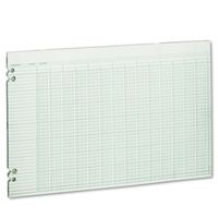 Wilson Jones - Accounting Sheets, 24 Columns, 11 x 17, 100 Loose Sheets/Pack, Green G50-24 (DMi PK