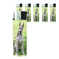 Dog Great Dane 05 Lighter Set of 5 Pieces