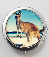 BlackKey Kangaroo 3-Compartment Decorative Pocket Gift Box Case Organizer for Pill, Color 1 -2037