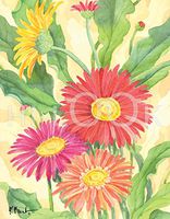 Hi-Look Microfiber Cleaning Cloth, Flower design - Daises