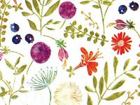 5ct Multi-Colored Alpine Meadow Floral Tissue Paper for Gift Wrapping 20"x30" Sheets nfLG -1151