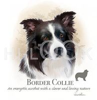 Hi-Look Microfiber Cleaning Cloth, dog design - Border Collie