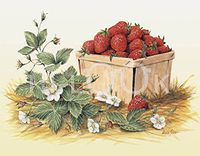 Hi-Look Microfiber Cleaning Cloth - Strawberry