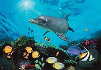 Hawaii 240 75b 5 Artwork Micro Fiber Cleaning Cloth