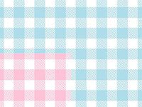 Baby Wrap - Baby Gingham Gift Wrap 24"x417' Gift Wrap Half Ream (Reversible) (1 roll) - Wraps -E5977H24