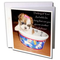 3dRose Shih Tzu Puppy Thinking of You - Greeting Cards, 6 x 6 inches, set of 12 (gc_39569_2)