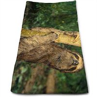 Jujia Sloth Climbing Tree (2) Microfiber Personalized Towel, Multi-Purpose + No Fading. Suitable for Kitchen Cleaning + Cleaning + Cleaning Tea Set, Machine Washable (1127.5 in)