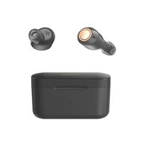 Partron PWE-100 Bluetooth Wireless Earbuds aptX Whole Day Battery Hi-Fi Sound Infinite Wireless Sound Compatible with iPhone/Android & Bluetooth Enabled Devices (Black) (Metalic Black)