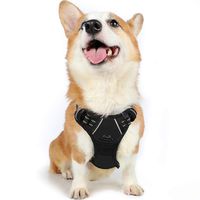 Rabbitgoo  Dog Harness No-Pull Pet Harness Adjustable Outdoor Pet Vest 3M Reflective Oxford Material Vest for Dogs Easy Control for Small Medium Large Dogs (Black, M)