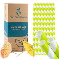 Paper Straws – Eco Friendly Paper Straws – Light Green Premium Designs – Box of 200 – Also Includes 10 Paper Cocktail Umbrellas (Light Green Striped Paper Straws)