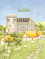 Hi-Look Microfiber Cleaning Cloth - Dublin