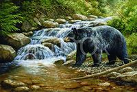 Hi-Look Microfiber Cleaning Cloth - Shadow of the Forest - Black Bear