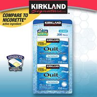 Kirkland Signature Quit Ice Mint Gum 2mg, 300 Pieces