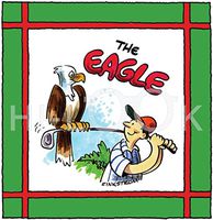 Hi-Look Microfiber Cleaning Cloth - The Eagle
