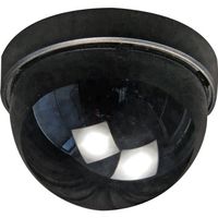 Security Labs Simulated Dome Camera