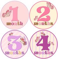 Baby Girl Monthly Milestone Stickers 1-12 Months Newborn Girl Butterfly Bodysuit Stickers by Mumsy Goose