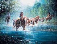 Hi-Look Microfiber Cleaning Cloth - Rocky Creek Colts