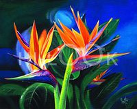 Hi-Look Microfiber Cleaning Cloth - Birds of Feather