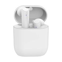 Bluetooth Wireless Earbuds Noise