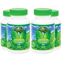 S.M.A.R.T. FX - 60 SOFT GEL CAPSULES, 4 Pack