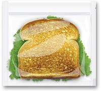 Stink Sack Toasted Graphic 7" x 7.5" ~ 1 Ounce Bags