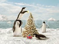 Hi-Look Microfiber Cleaning Cloth - Merry Penguins