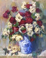 Hi-Look Microfiber Cleaning Cloth - New Red and white Roses