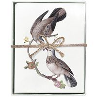 Montgomery Street Love Birds Recycled Note Cards, Boxed Set of 8