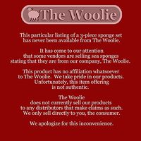 3pc Natural Wool Sea Sponge Set - Luxurious, Traditional & most popular