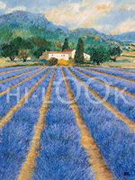 Hi-Look Microfiber Cleaning Cloth - Champe de Lavende