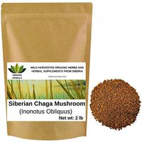 Wild Harvested Organic Siberian Chaga Mushroom Crushed (Inonotus Obliquus) from The Ecologically Clean Shores of Lake Baikal Fresh Harvest Direct from Siberia 907 gm (2 lb)