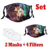 Galaxy Wolf Dust Mouth Mask - Animal Pet Print Dust Face Mask Surgical Masks Particulate Respirator Reusable 2PC (Funny mask 1)