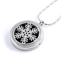 Paw Paw House Aromatherapy Essential Oil Diffuser Necklace Floating Charm Locket Pendant Stainless Steel (5103-1)