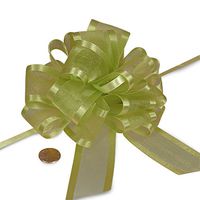 Green Sheer Pull Bow with Satin Edges 4" | Quantity: 12 Width 5/8"