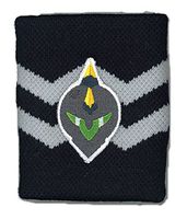 Blast of Tempest Sweatband - Mask Icon