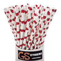 CTIGERS Cute Watermelon Patterns Paper Straws Summer Fruit Style Biodegradable Drinking Straws Box of 100