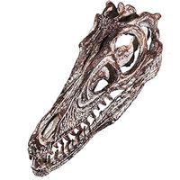 LXX Dinosaur Skull,Resin Fossil Model Collectibles Simulation 1:1 Gray Handmade Dinosaur Skull Model Home Bar Aquarium Decor Crafts